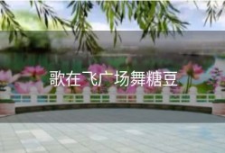 歌在飞广场舞糖豆