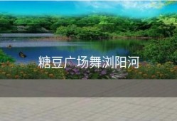 糖豆广场舞浏阳河