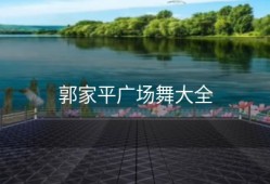 郭家平广场舞大全