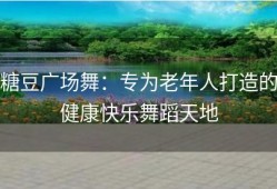 糖豆广场舞：专为老年人打造的健康快乐舞蹈天地