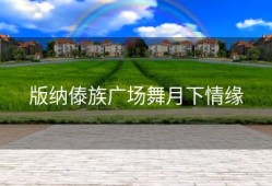 版纳傣族广场舞月下情缘