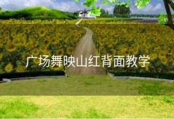 广场舞映山红背面教学