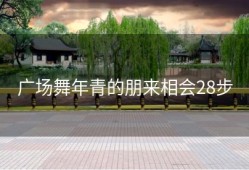 广场舞年青的朋来相会28步