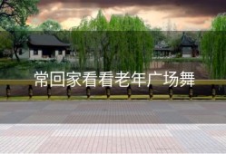 常回家看看老年广场舞