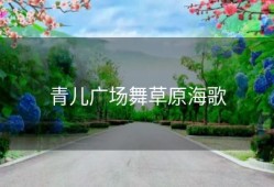 青儿广场舞草原海歌