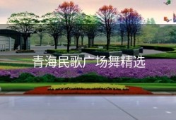 青海民歌广场舞精选