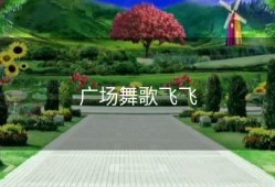 广场舞歌飞飞