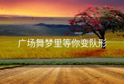 广场舞梦里等你变队形