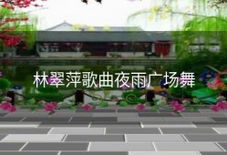 林翠萍歌曲夜雨广场舞