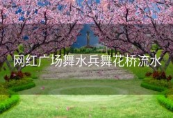 网红广场舞水兵舞花桥流水