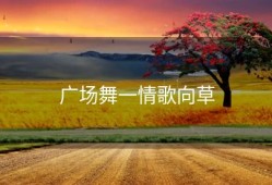 广场舞一情歌向草