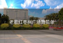 老歌红枣树广场舞简单