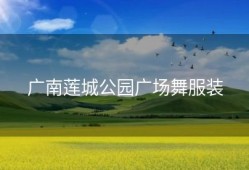 广南莲城公园广场舞服装