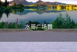 水哥广场舞