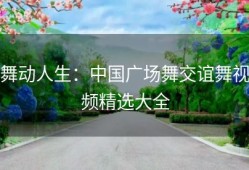 舞动人生：中国广场舞交谊舞视频精选大全