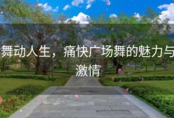 舞动人生，痛快广场舞的魅力与激情