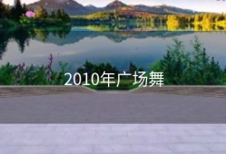 2010年广场舞