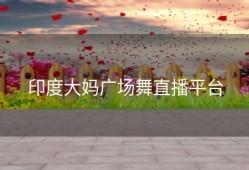 印度大妈广场舞直播平台