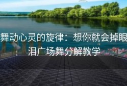 舞动心灵的旋律：想你就会掉眼泪广场舞分解教学