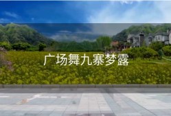 广场舞九寨梦露