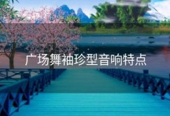 广场舞袖珍型音响特点