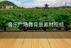 音乐广场舞背景素材视频