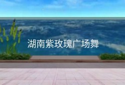 湖南紫玫瑰广场舞