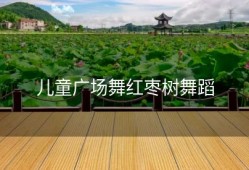 儿童广场舞红枣树舞蹈