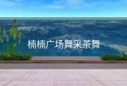 楠楠广场舞采茶舞