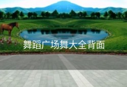 舞蹈广场舞大全背面