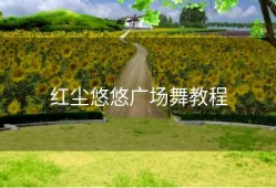 红尘悠悠广场舞教程