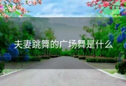 夫妻跳舞的广场舞是什么