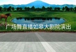 广场舞直播如皋大剧院演出