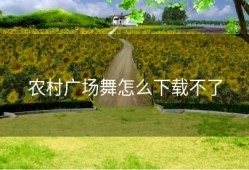 农村广场舞怎么下载不了
