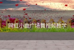 网红小曲广场舞视频教学