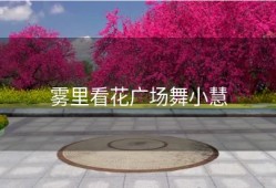 雾里看花广场舞小慧