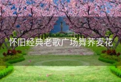 怀旧经典老歌广场舞荞麦花