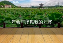 年会广场舞我的九寨