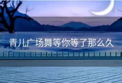 青儿广场舞等你等了那么久