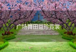 广场舞田益珍霓裳