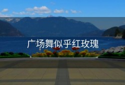 广场舞似乎红玫瑰
