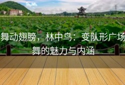 舞动翅膀，林中鸟：变队形广场舞的魅力与内涵