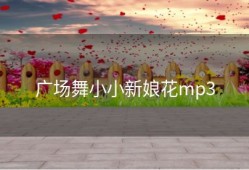 广场舞小小新娘花mp3