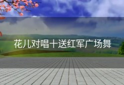 花儿对唱十送红军广场舞