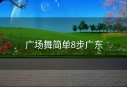 广场舞简单8步广东