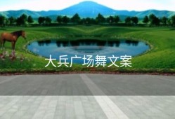 大兵广场舞文案