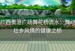 广西贵港广场舞花桥流水：舞动壮乡风情的健康之桥
