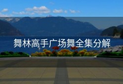 舞林高手广场舞全集分解