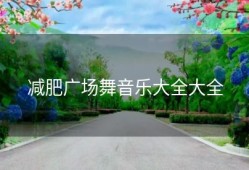 减肥广场舞音乐大全大全