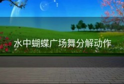 水中蝴蝶广场舞分解动作